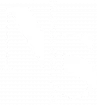 Logo blanc - Agence Nuances Singulières