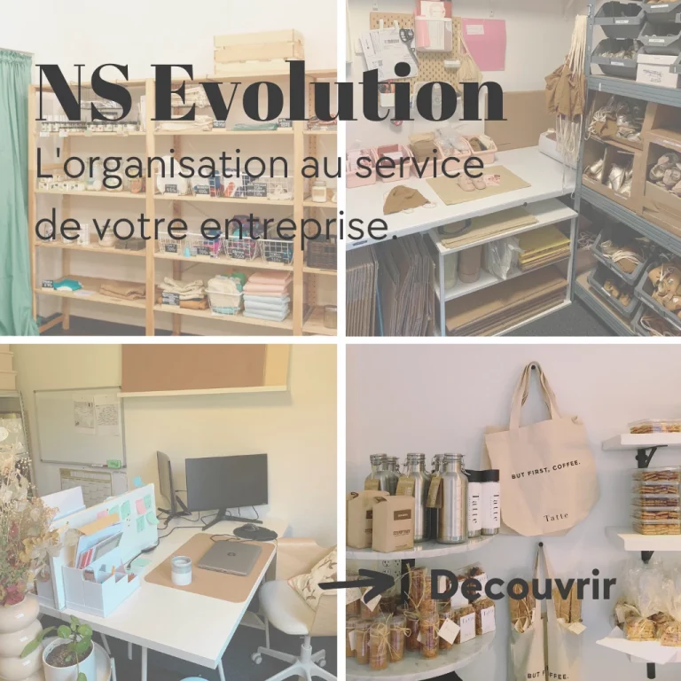 "NS Evolution par Nuances Singulières - L'organisation au service de votre entreprise et transformation professionnelle"